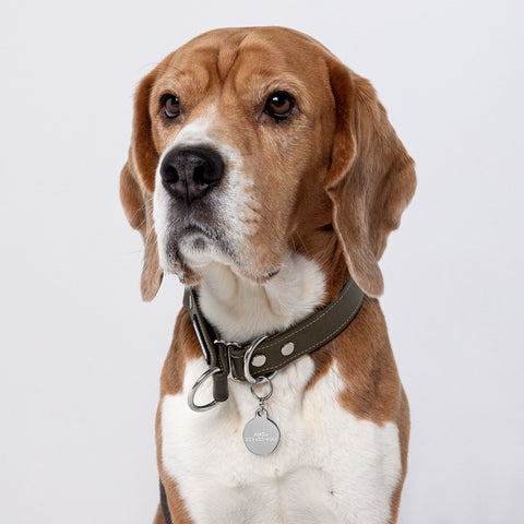 Team Jesus Engraved pet ID tag